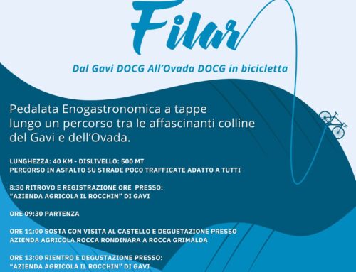 1 settembre 2024 – FILAR: Dal Gavi DOCG All’Ovada DOCG in bicicletta